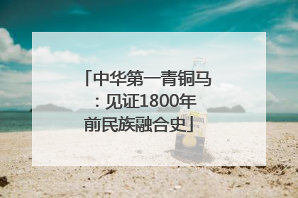 中华第一青铜马：见证1800年前民族融合史