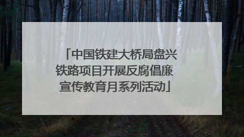 中国铁建大桥局盘兴铁路项目开展反腐倡廉宣传教育月系列活动