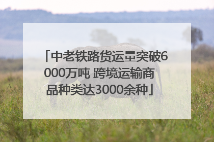 中老铁路货运量突破6000万吨 跨境运输商品种类达3000余种