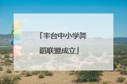 丰台中小学舞蹈联盟成立