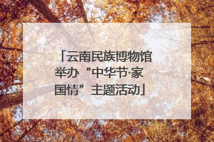 云南民族博物馆举办“中华节·家国情”主题活动