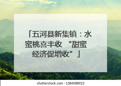 五河县新集镇：水蜜桃喜丰收 “甜蜜经济促增收”