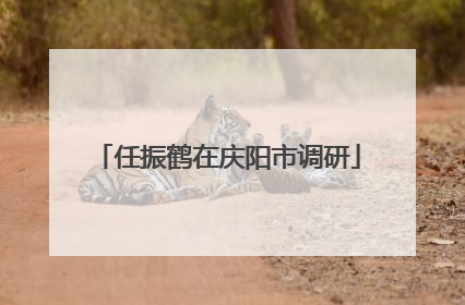 任振鹤在庆阳市调研