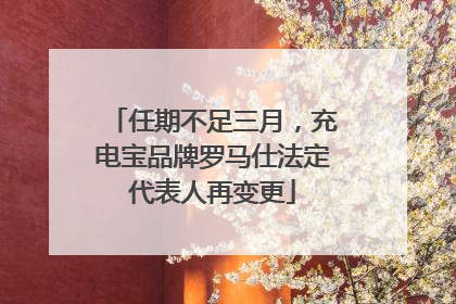 任期不足三月，充电宝品牌罗马仕法定代表人再变更