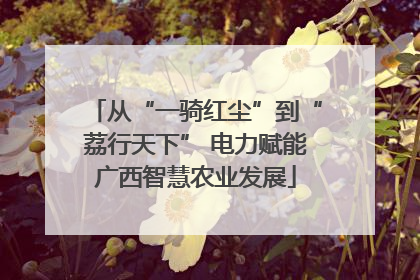 从“一骑红尘”到“荔行天下” 电力赋能广西智慧农业发展