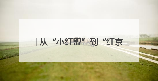 从“小红盟”到“红京计划”：实现小红书广告笔记一键直达京东