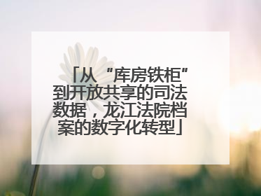 从“库房铁柜”到开放共享的司法数据，龙江法院档案的数字化转型