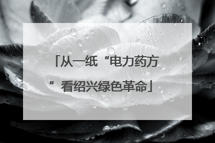 从一纸“电力药方”看绍兴绿色革命