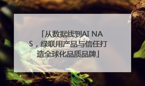 从数据线到AI NAS，绿联用产品与信任打造全球化品质品牌