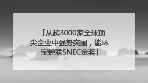 从超3000家全球顶尖企业中强势突围，能环宝蝉联SNEC金奖