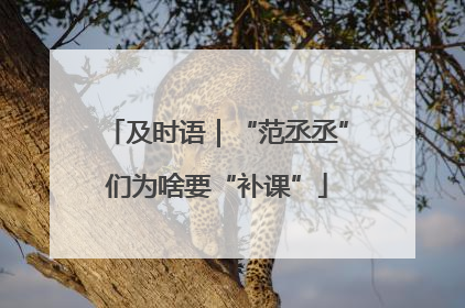 及时语｜“范丞丞”们为啥要“补课”