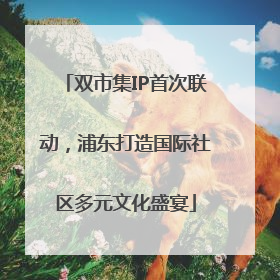 双市集IP首次联动，浦东打造国际社区多元文化盛宴