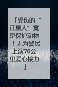 受伤的“汪星人”竟是保护动物！无为警民上演70公里爱心接力