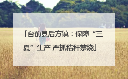 台前县后方镇：保障“三夏”生产 严抓秸秆禁烧
