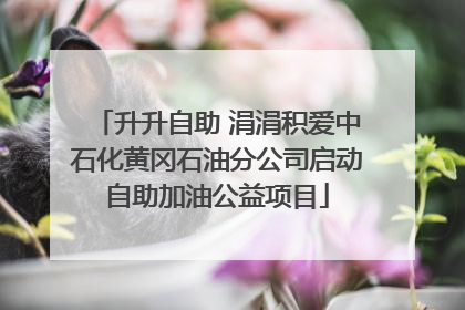 升升自助 涓涓积爱中石化黄冈石油分公司启动自助加油公益项目