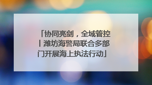 协同亮剑,全域管控丨潍坊海警局联合多部门开展海上执法行动