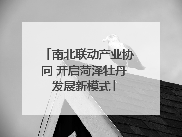 南北联动产业协同 开启菏泽牡丹发展新模式