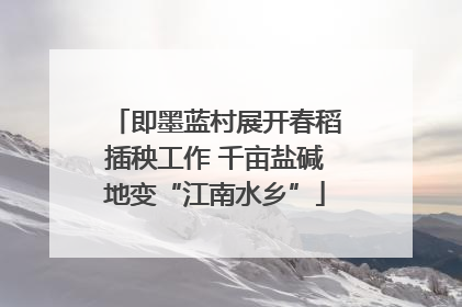 即墨蓝村展开春稻插秧工作 千亩盐碱地变“江南水乡”