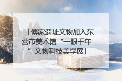 傅家遗址文物加入东营市美术馆“一眼千年”文物科技美学展