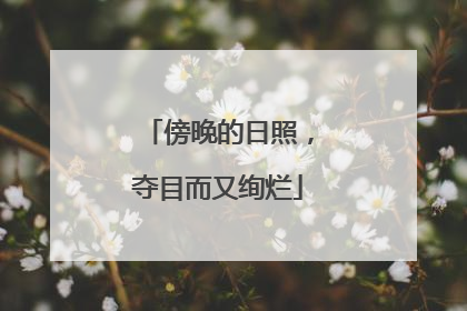 傍晚的日照，夺目而又绚烂