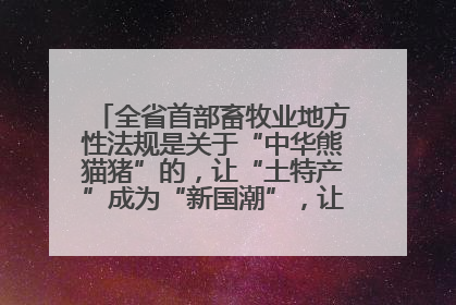 全省首部畜牧业地方性法规是关于“中华熊猫猪”的，让“土特产”成为“新国潮”，让“农产品”升格为“城市IP”