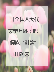 全国人大代表董月琳：把侗族“讲款”用起来