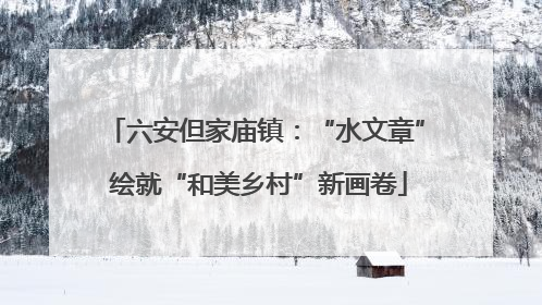 六安但家庙镇：“水文章” 绘就“和美乡村”新画卷
