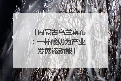 内蒙古乌兰察布：一杯酸奶为产业发展添动能