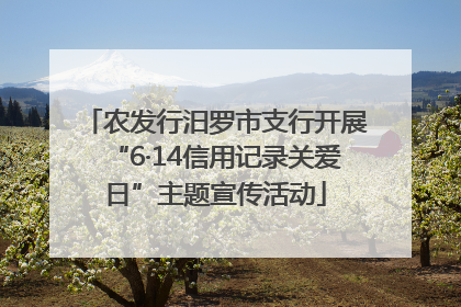 农发行汨罗市支行开展“6·14信用记录关爱日”主题宣传活动