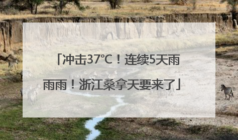 冲击37℃！连续5天雨雨雨！浙江桑拿天要来了