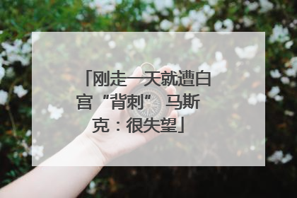 刚走一天就遭白宫“背刺” 马斯克：很失望