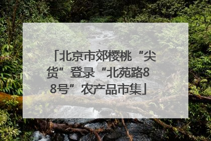 北京市郊樱桃“尖货”登录“北苑路88号”农产品市集