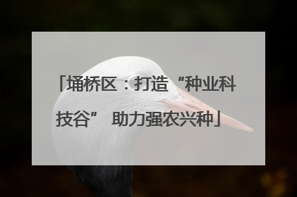 埇桥区：打造“种业科技谷” 助力强农兴种