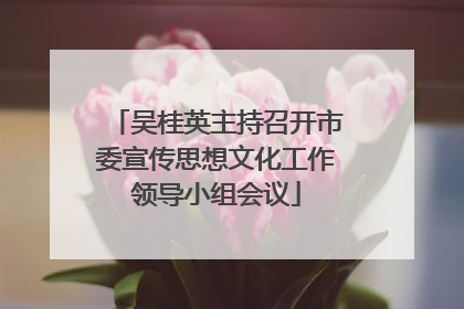 吴桂英主持召开市委宣传思想文化工作领导小组会议