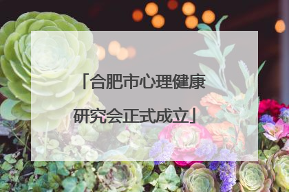 合肥市心理健康研究会正式成立