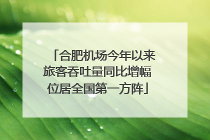 合肥机场今年以来旅客吞吐量同比增幅位居全国第一方阵