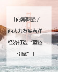 向海图强 广西大力发展海洋经济打造“蓝色引擎”
