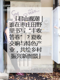 君山观潮｜谁在枣庄田野里书写“丰收答卷”？夏收交响与特色产业，共绘乡村振兴新图景