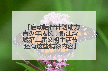 启动陪伴计划助力青少年成长，新江湾城第二届文明生活节还有这些精彩内容
