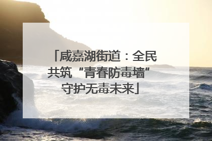 咸嘉湖街道：全民共筑“青春防毒墙” 守护无毒未来