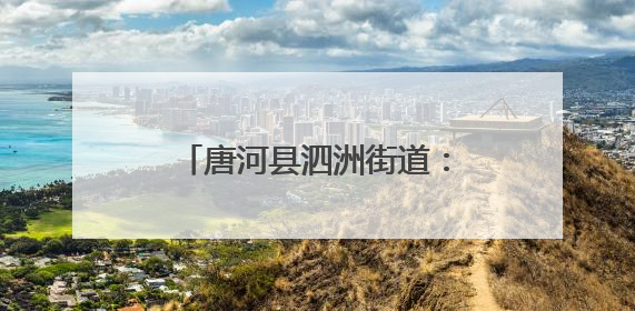 唐河县泗洲街道：防汛演练筑防线 未雨绸缪保安全