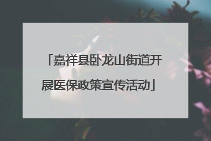 嘉祥县卧龙山街道开展医保政策宣传活动