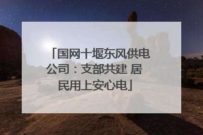 国网十堰东风供电公司：支部共建 居民用上安心电
