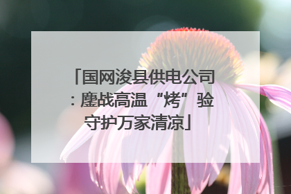 国网浚县供电公司：鏖战高温“烤”验 守护万家清凉
