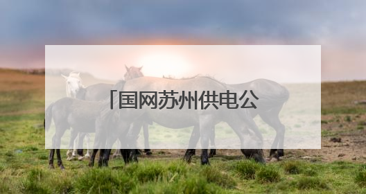 国网苏州供电公司发布2024年社会责任报告