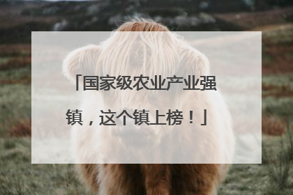 国家级农业产业强镇，这个镇上榜！