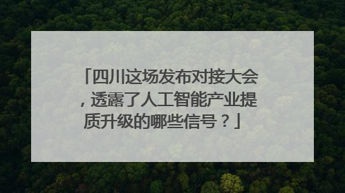 四川这场发布对接大会，透露了人工智能产业提质升级的哪些信号？