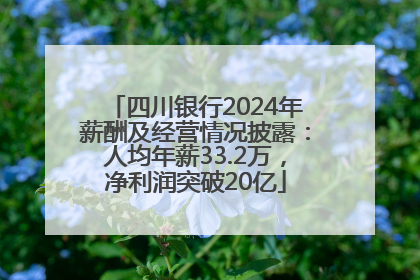 四川银行2024年薪酬及经营情况披露：人均年薪33.2万，净利润突破20亿
