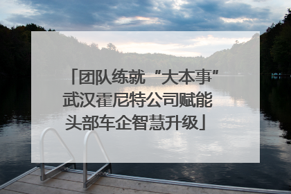团队练就“大本事” 武汉霍尼特公司赋能头部车企智慧升级