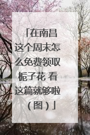 在南昌 这个周末怎么免费领取栀子花 看这篇就够啦（图）